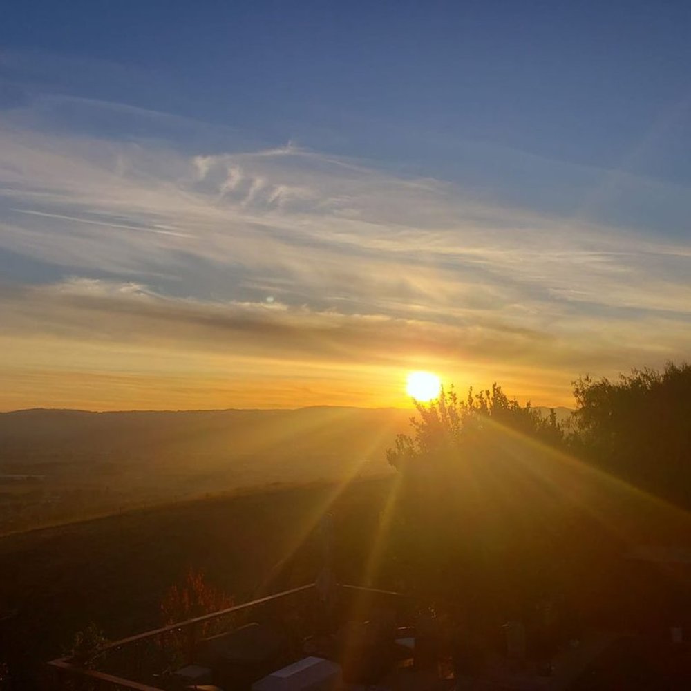 Meet your Posher, Michele